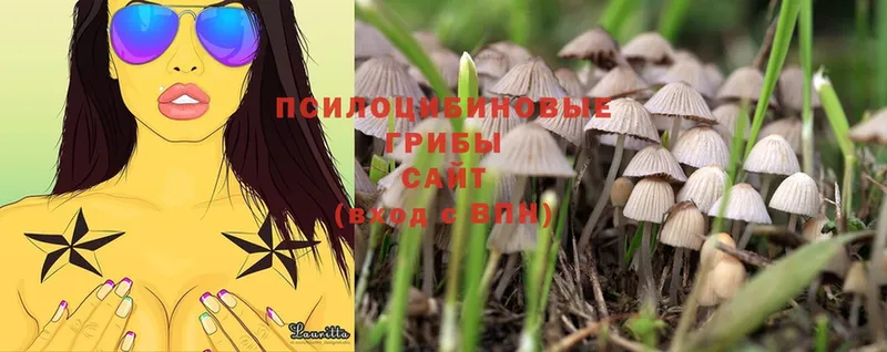 Галлюциногенные грибы Magic Shrooms  Карталы 